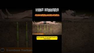 BAMBOO TORTURE 😱 | The Slowest and Most Brutal Death Ever Invented 🎋 | Epic10 Discoveries