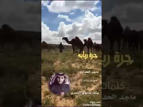ربابه العازف بندر بديوي كلمات ماجد الحداري المطيري