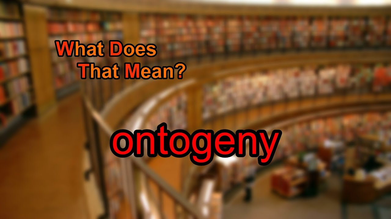 What does ontogeny mean? YouTube
