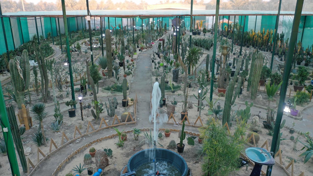 🌵حديقة الصبار 🌵 بالاحساء