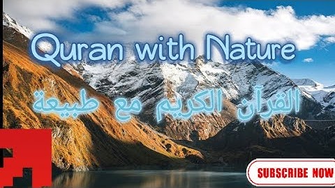 surat Al Anfal  ❗❗سورة الأنفال the voice of ❗❗Wadee Al Yamani   صوت وديع اليمني