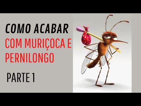 como acabar com muriçoca e pernilongo - YouTube