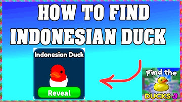 How To Find Indonesian Duck in FIND THE DUCKS 3 ROBLOX 🦆 [walkthrough]