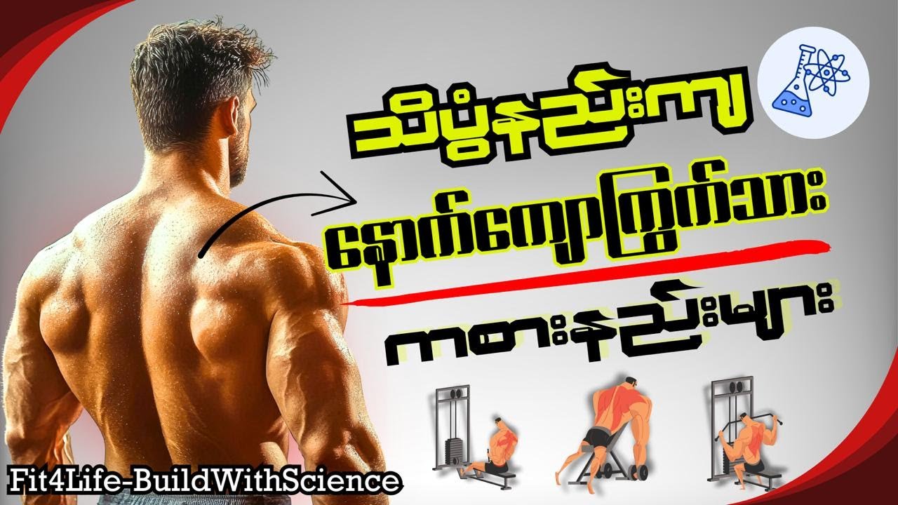 သိပ္ပံနည်းကျ နောက်ကျောကြွက်သား ကစားနည်းများ