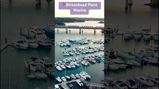 Sydney @Birkenhead Point Marina Drummoyne NSW #shorts #sydney #australia4k #australiatravel