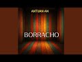 Borracho