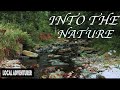 Into the nature  cinematic travel by local adventurer