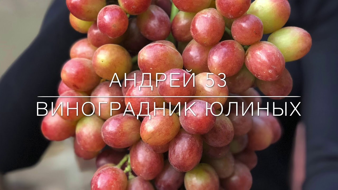Защита от вредителей и болезней