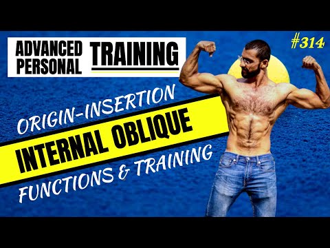 Internal Oblique Muscle Origin Insertion Action Training (इंटरनल ऑब्लिक )
