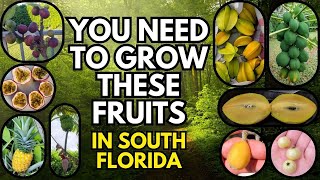 8 Easiest Exotic Fruits to Grow in South Florida
