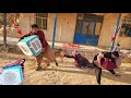 Soheila S Difficult Life With Her Husband S Betrayal And Conflict With Operator For Helping Soheila Soheila S Difficult Life With Her Husband S Betrayal And Conflict With Operator For Helping Soheila