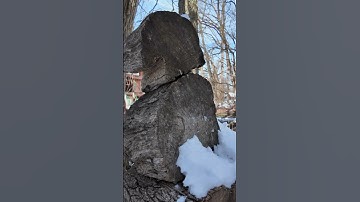 Throwing the NEDFOSS Viking Axe!