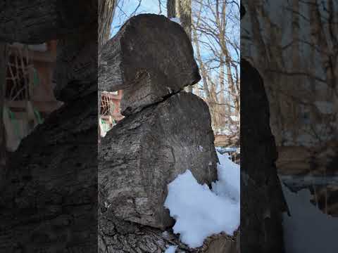 Throwing the NEDFOSS Viking Axe!