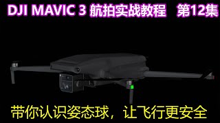 DJI Fly的姿态球怎么用？带你认识姿态球，让飞行更安全│第12集│大疆无人机DJI Mavic3 航拍实战教程 screenshot 1