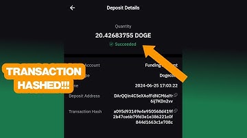 How to Obtain Your Transaction Hash from ByBit Wallet | Dogecoin Network?