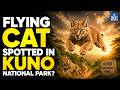 Caracal Spotted in Kuno National Park After Decades | Flying Cat Returns to MP | NEXT IAS