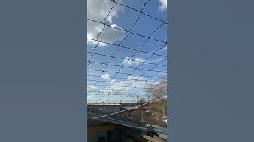 Bird netting installation, to replace a old and damaged one for our client