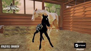 : Rival Stars  / More foals /   / Part 1
