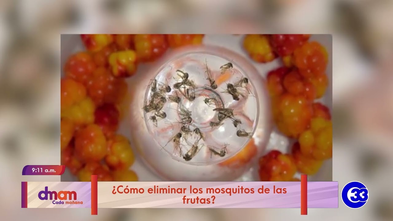 Picture of #DeMujerAMujer | ¿Cómo eliminar los mosquitos de las frutas? - YouTube