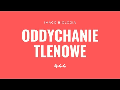 Oddychanie tlenowe
