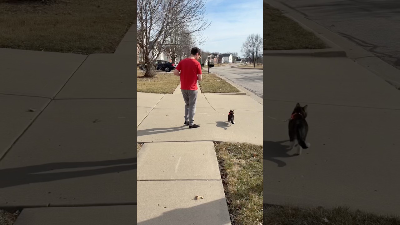 You guys. I can’t handle how cute this is 😭💕 