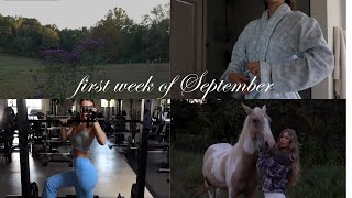 The First Week Of September Evenings At The Farm, Cooking, Fav Products