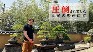 村雨と大宮盆栽美術館〜盆栽の見方や楽しみ方〜　Vlog75
