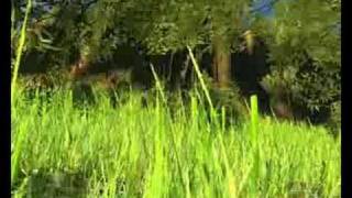 Crysis - LOW VS ULTRA HIGH!!!!!!!!!!!!!!!!!