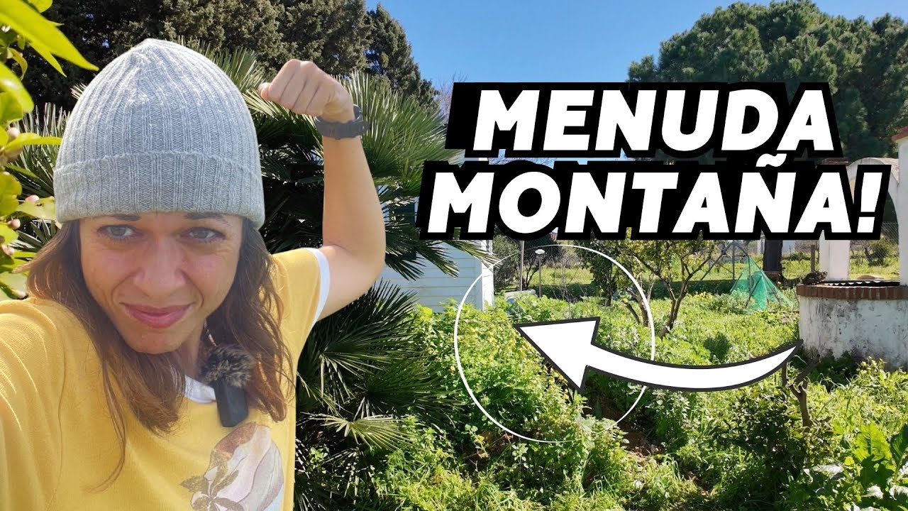 La finca está salvaje y la montaña de escombros parece que creciera. ¡ESTO ES EXTREMO! 😰 Vlog277
