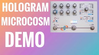 Hologram Electronics Microcosm - Before You Buy