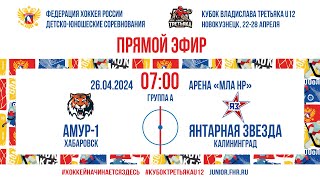 Кубок Третьяка U12. Амур-1 - Янтарная Звезда | 26.04.2024, 07:00 МСК