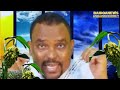 GAAL HOOBÉ GOHAAW GURBII DHALEE DIGIL MIRIFLOOW WAL KÉ QAATHOY AFYAAL EBDILLAHI NUUNOW GAAL HOOBÉ GOHAAW GURBII DHALEE DIGIL MIRIFLOOW WAL KÉ QAATHOY AFYAAL EBDILLAHI NUUNOW