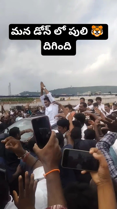 మన డోన్ లో పులి 🐯 దిగింది 🤟 | ysjagan in dhone #ysjagan #jagan #dhone #kurnool #shorts #trending#ycp