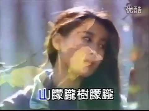 蔡幸娟 - 月朦朧鳥朦朧（KTV）