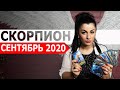 СКОРПИОН СЕНТЯБРЬ 2020. Расклад Таро от Анны Арджеванидзе