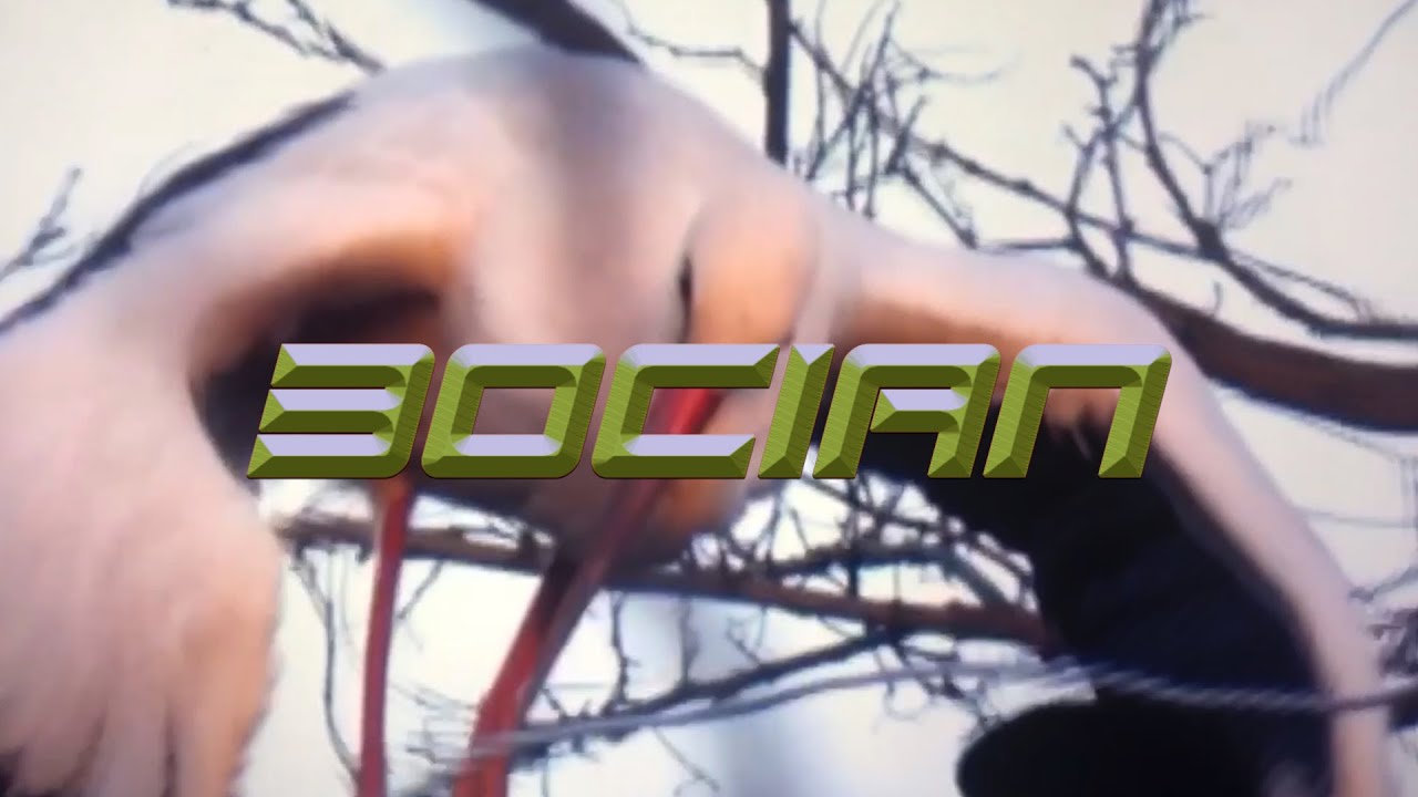 Guarda PNG BOYS; D-WHITE, SUCHY MAJK, ABEL, JORDAH, PŁATEK, J.KOSSAK, KRÓL ŚWIATA, HOLAK - BOCIAN su YouTube