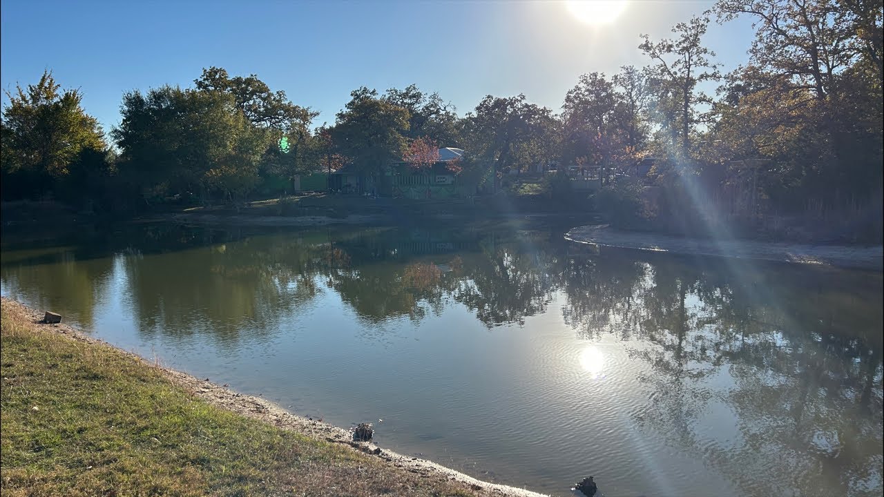 Fishing at the pond#live #bass #bassfishing #subscribe