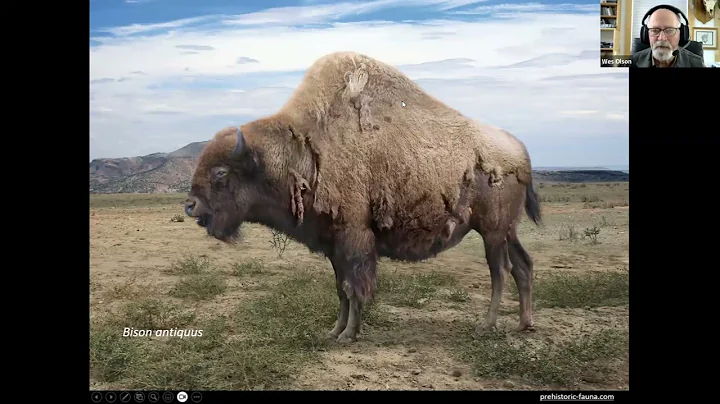 Bison, Bugs & Birds: Linking the recovery of endangered species with Wes Olson