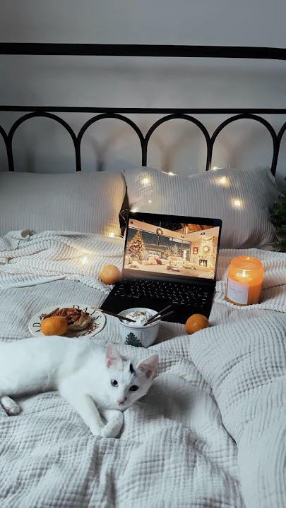 Sacred Christmas Night 🎄 (O Holy Night)