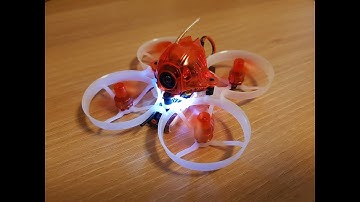 Snapper7 - Just a pack in the morning.