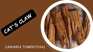 Unlock the Mysteries of Cat's Claw (Uncaria tomentosa)