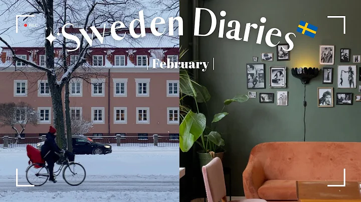 Sweden Diaries 北欧日记EP_4｜冰雪奇缘的国度 Feb 2024｜Vlog｜Eng Sub - 天天要闻