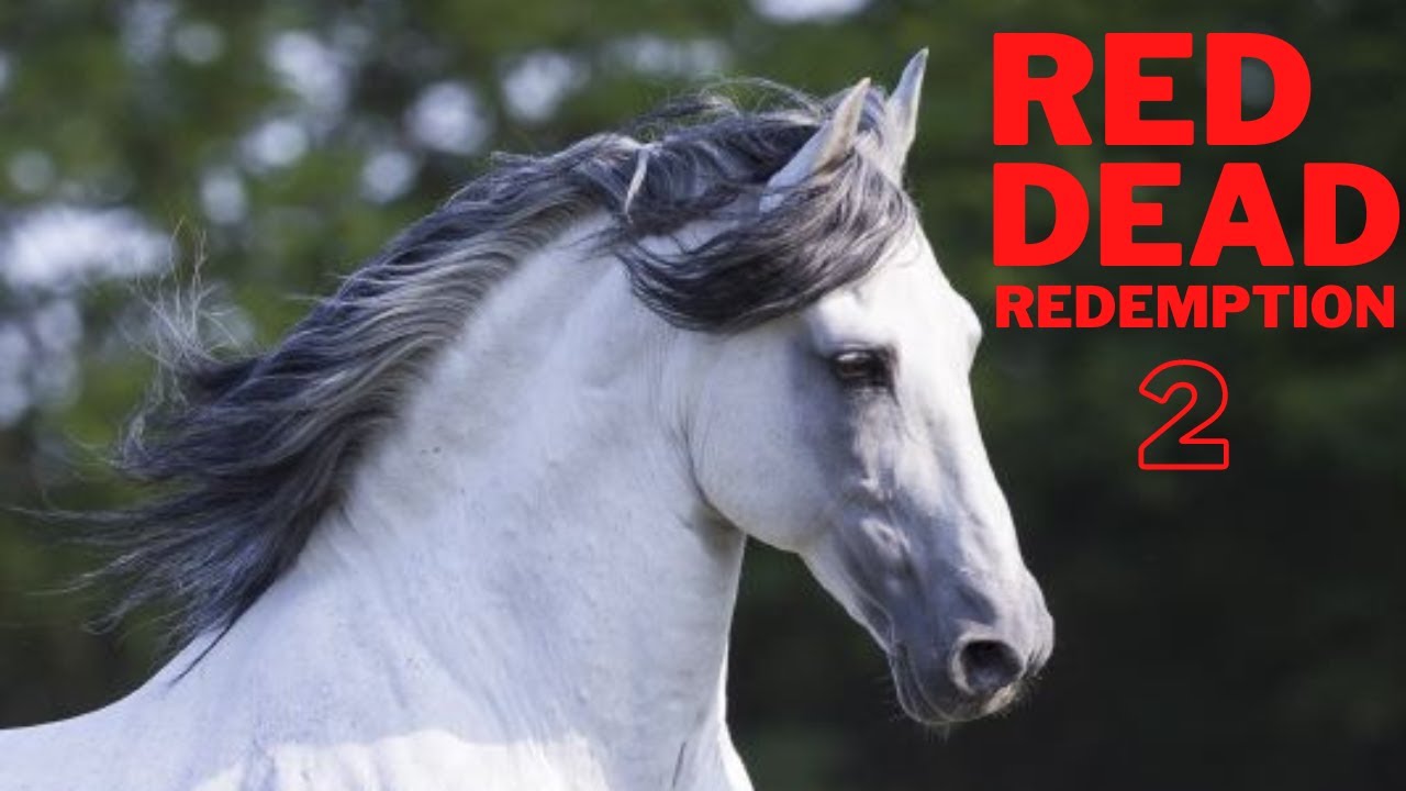 Horse Hunting Nokota White Roan (Best Horses in Red Dead Redemption 2