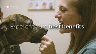 Join Our Team at Tampa Bay Animal Hospitals by TampaBayVets 20 views 3 weeks ago 24 seconds