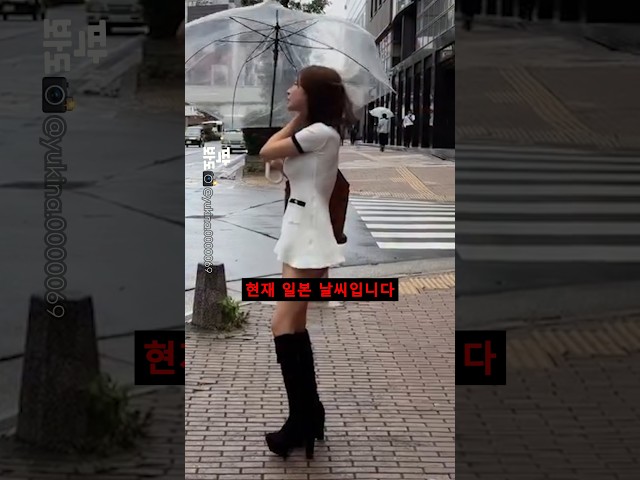 현재 일본 날씨 수준