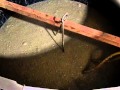 中俣合名会社　芋焼酎　二次醪の発酵の様子です。