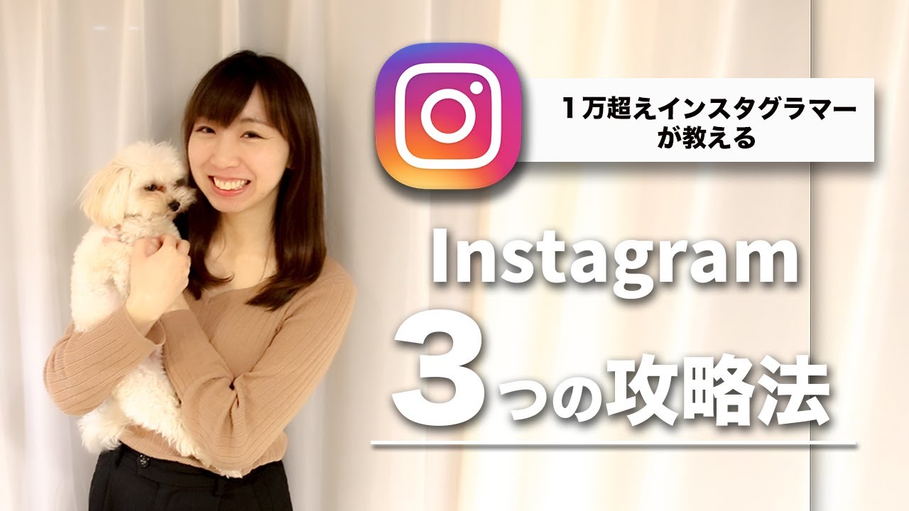 インスタ フォロワー 急 に 増える