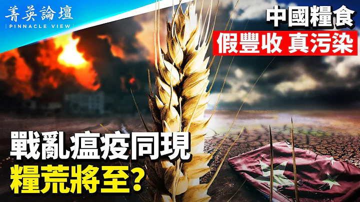 【菁英論壇】連續18年豐收背後的糧食恐慌。糧食安全潛藏政權危機。1/5土地重金屬污染，50%中國人血液鉛超標。耕地銳減，無人種地？共產黨的壟斷特權是問題根源。| 菁英論壇 05/14| #新唐人電視台 - 天天要聞