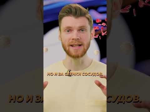 Допустим, я человек-муравей #наука #человекмуравей #муравей #физика #редакциянаука