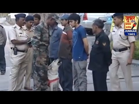 गुन्हेगारांना कसे शोधतात प्रशिक्षित कुत्रे. महाराष्ट्र पोलीस श्वान पथकाची यशोगाथा.